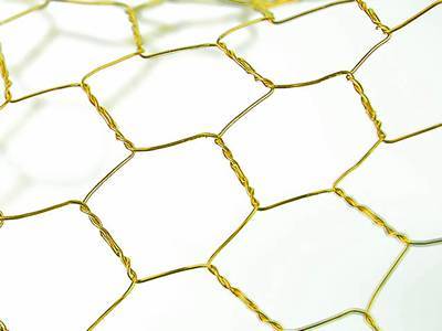A piece of beautiful golden craft chicken wire in hexagonal aperture.