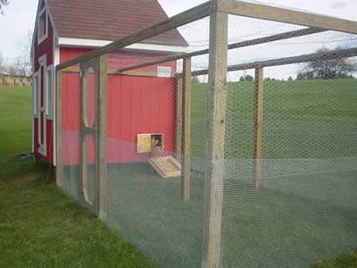 chicken wire fence installed
