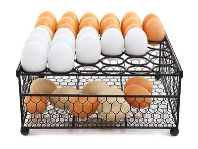 A totally chicken wire mesh made rectangle basket to contain eggs.