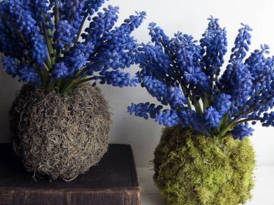 Two moss and glass made globe flower vases.