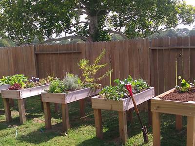 Five raised beds is placed orderly and plants are grown on the beds.