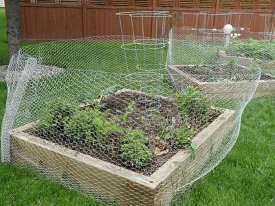 Chicken wire for garden