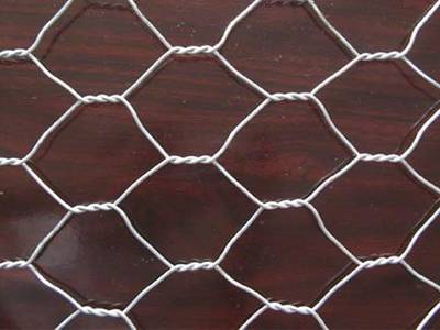 V Protek 2x10ft PVC Coated Fence Wire Poultry Netting Garden Fencing,Mesh 2.4" 