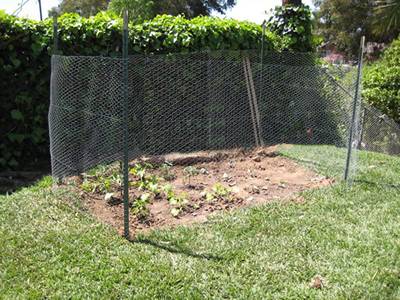 Mesh Fence Coated in Green PVC Aviary Grid Wire Net For Garden Chickens Terrace 