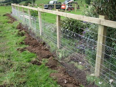 Chicken Wire Mesh Used in Garden as Fence, Raised Bed, Trellis