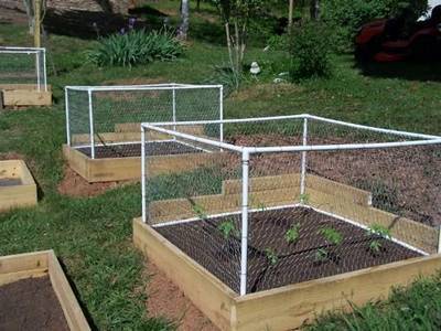 Chicken wire mesh is made into boxes to protect plants grown in a raised bed.